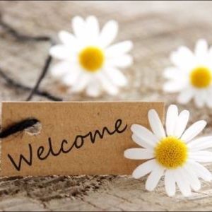 WELCOME to Kay’s Cottage! 🌼🏠🌼